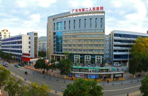 广元市第二人民医院双电源及备自投